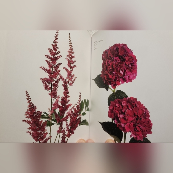 Flower Color Guide By Darroch And Michael Putnam - Picture 5 of 8